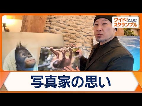 絶滅危機のオランウータン　背景にパーム油農園拡大　現状伝え支援する写真家を取材　【ワイド！スクランブル】(2026年2… サムネイル