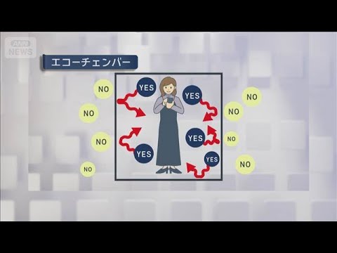 【衆院選】「意見が極端化」するSNS　情報収集その前に　専門家が向き合い方を解説(2026年1月31日) サムネイル