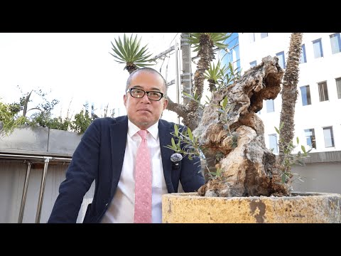 【新年のご挨拶】2026年も田端信太郎を宜しくお願いいたします。〜オリーブの古木のように新芽のように〜 サムネイル