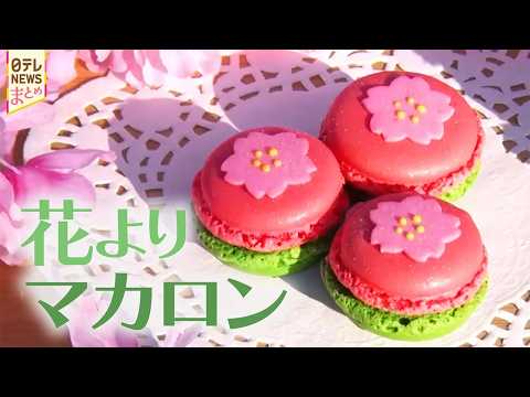 【お花見】今注目の桜×グルメ！　デパートのお花見お弁当＆スイーツ/進化形だんご/桜と富士山＆ココだけグルメ旅 サムネイル