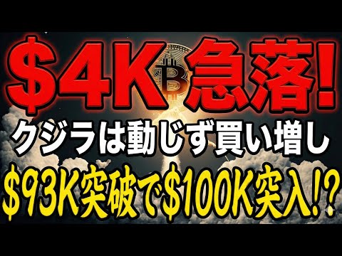 BTC $95K→$91Kへ急落もクジラは爆買い中！次の急騰は$100K突破か$85K崩壊か！？【仮想通貨 ビットコイ… サムネイル