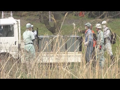 福島・郡山市 住宅地や公園でクマの目撃相次ぐ　警察や猟友会が警戒続ける(2026年4月7日) サムネイル