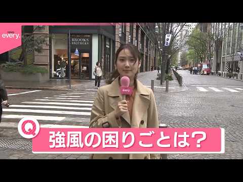 【きょうの1日】広範囲で南風強まり“春の嵐”  桜散り…屋根が飛ぶ被害も  強風の困りごとは？ サムネイル