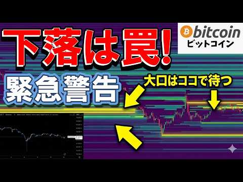 【仮想通貨 ビットコイン】警告！大口（クジラ）の動きに騙されるな。清算マップが示す「本当の底値」（朝活2066） サムネイル