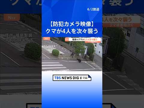 「クマに噛まれた」福島市の工場や住宅街に出没　4人けが　防犯カメラに従業員を襲い、走って追いかける様子　今も工場に居座… サムネイル