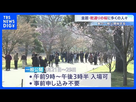 皇居･乾通り｢春の一般公開｣スタート 晴天のもと1.8万人が訪れる　ソメイヨシノやシダレザクラなど桜が約100本｜TB… サムネイル