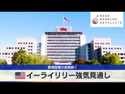 米イーライリリー強気見通し　肥満症薬の成長続く【モーサテ】 サムネイル