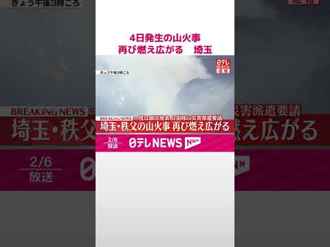 【速報】埼玉・秩父の山火事、再び燃え広がる  一度は鎮圧発表  自衛隊に災害派遣要請  shorts サムネイル