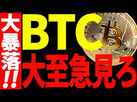 ⚠️ビットコイン予想通りの大暴落⚠️今後の最新分析を大至急見て！【仮想通貨】 サムネイル