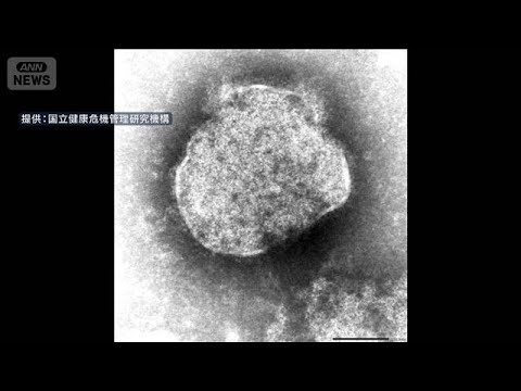 はしかの全国患者数1週間で30人　今年すでに197人が感染　去年の3倍以上で推移(2026年4月7日) サムネイル