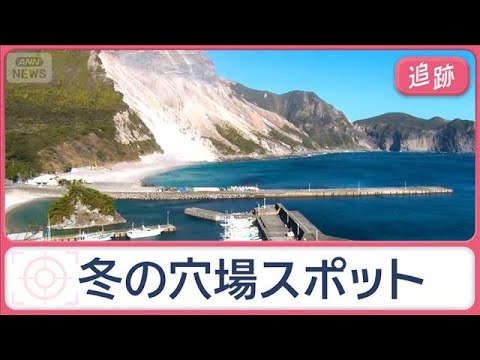 冬こそ狙い目！東京の離島　島グルメに温泉も…行き先不明「ミステリーきっぷ」とは？【Jの追跡】【スーパーJチャンネル】(… サムネイル