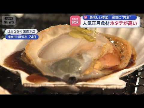 ホタテが高い 人気正月食材　美味しい季節…産地に“異変”【スーパーJチャンネル】(2025年12月29日) サムネイル