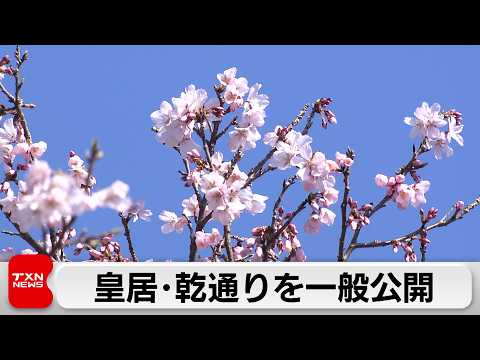 皇居・乾通りの春の一般公開が始まる サムネイル