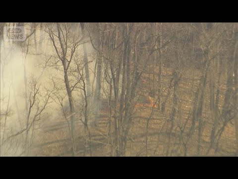 群馬の山火事 一晩で焼失面積は2倍超　あすも消火活動【スーパーJチャンネル】(2026年3月22日) サムネイル