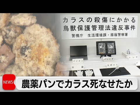 カラスの鳴き声などに悩まされカラス7羽を死なせた疑い　62歳の男を書類送検 サムネイル