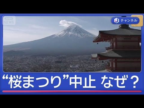 20万人来場「桜まつり」中止　“相次ぐ迷惑行為”　観光客のマナー問題の実態は？【スーパーJチャンネル】(2026年2月… サムネイル