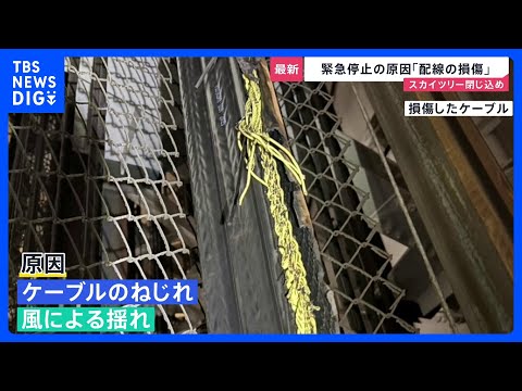 スカイツリーのエレベーター“閉じ込め”原因は「内部配線の損傷」 安全確認し26日からは営業再開【news23】｜TBS… サムネイル