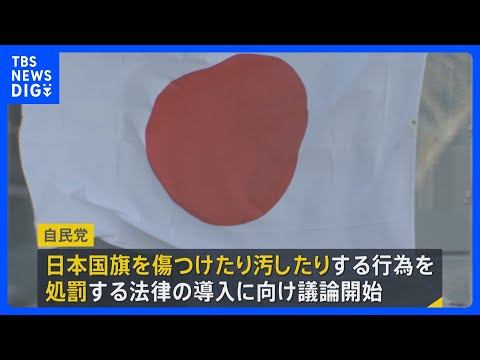 高市総理の“悲願”「国旗損壊罪」導入に向け自民党内で議論始まる　日本国旗にも罰則を定めるか・対象となる損壊範囲をどう定… サムネイル