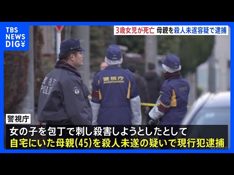 3歳の娘刺したか　殺人未遂容疑で母親を現行犯逮捕　娘は死亡　8歳の息子も手の甲にけが　「近所の男児が血だらけ 『刺され… サムネイル