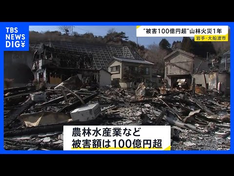 岩手・大船渡の大規模山林火災から1年　被害総額100億円…延焼範囲は平成以降最大に　地元企業は再建に向け動き｜TBS… サムネイル