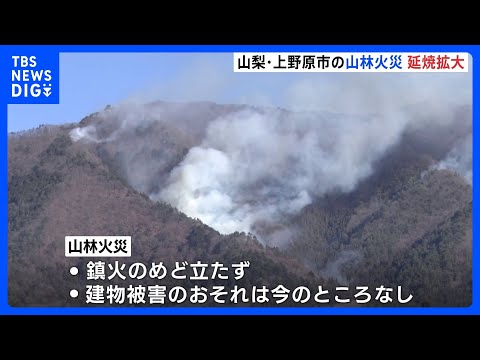 山梨・上野原市の山林火災発生から7日目 延焼拡大　鎮火のめど立たず｜TBS NEWS DIG サムネイル