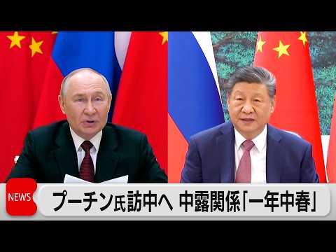 中露首脳会談　プーチン氏 中露関係は「一年中春だ」今年中に中国に複数回訪問予定 サムネイル