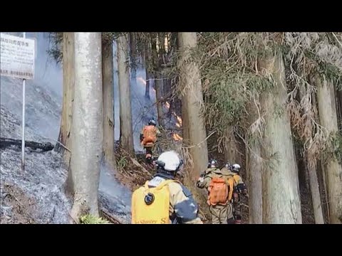 群馬の山火事 鎮火めど立たず　発生から間もなく丸一日経過(2026年1月26日) サムネイル