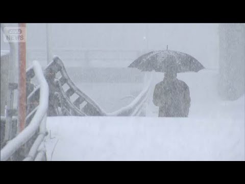 大雪＆暴風 今季最強寒波が3連休直撃 停電も…屋根が飛びイルミネーション倒れる(2026年1月11日) サムネイル