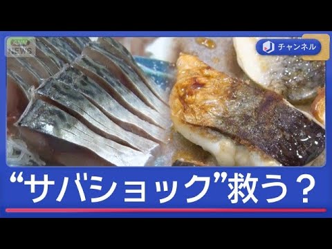 「サバショック」国産も輸入もピンチなぜ？“アノ魚”が食卓の救世主に！？【スーパーJチャンネル】(2026年6月2日) サムネイル