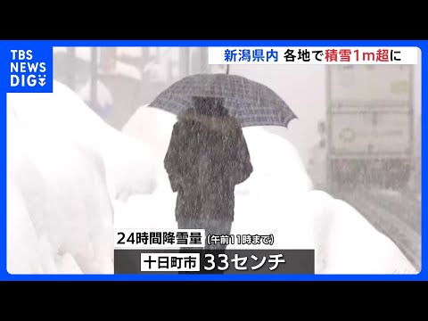 今季「最長寒波」日本海側で大雪続く　交通への影響に厳重警戒　新潟　各地で積雪1メートル超に｜TBS NEWS DIG サムネイル