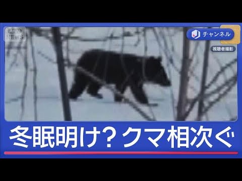 もう冬眠明けた？早くもクマ出没相次ぐ【スーパーJチャンネル】(2026年3月13日) サムネイル