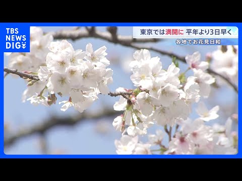 東京の桜が「満開」発表 平年より3日早く　きょうの都心は4月中旬並みの暖かさに｜TBS NEWS DIG サムネイル