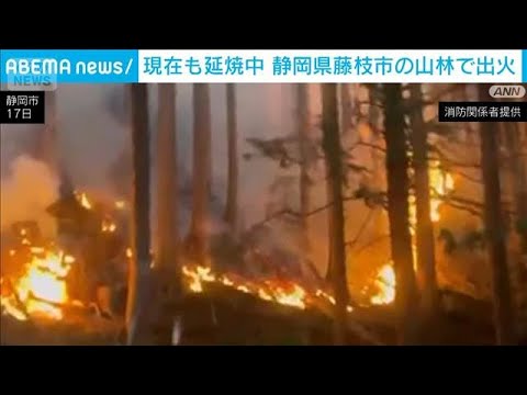静岡・藤枝市で山林火災　現在も延焼中(2026年1月17日) サムネイル