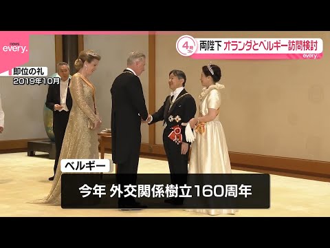 【天皇皇后両陛下】今年6月にオランダ・ベルギーの2か国公式訪問を検討 サムネイル
