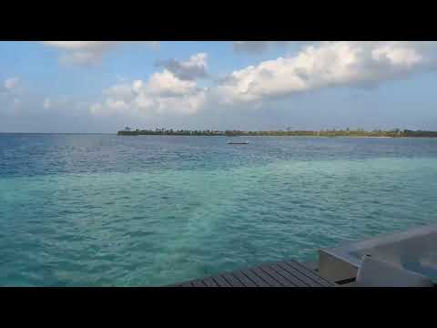 【実写】モルディブの朝から15分ライブ配信 サムネイル