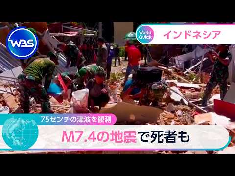 75センチの津波を観測 M7.4の地震で死者も【WBS】 サムネイル