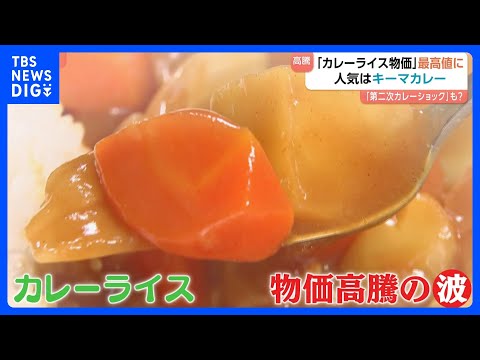 「異常だなと思いますね…」第二次カレーショック？ カレーライス物価が最高値を更新 人気はキーマカレー｜TBS NEWS… サムネイル