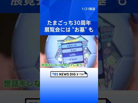歴代「たまごっち」が大集結！グルメからお墓まで「たまごっち」あるあるが凝縮！｜TBS NEWS DIG shorts サムネイル