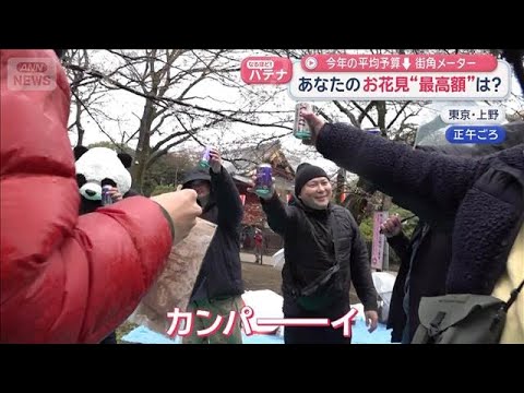 あなたのお花見“最高額”は？　今年の平均予算↓街角メーター【スーパーJチャンネル】(2026年3月20日) サムネイル