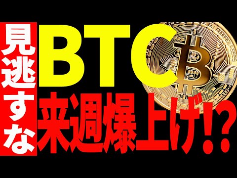 ⚠️ビットコイン来週爆上げ⁉⚠️見逃し厳禁の注目ポイントを徹底解説！【仮想通貨】 サムネイル
