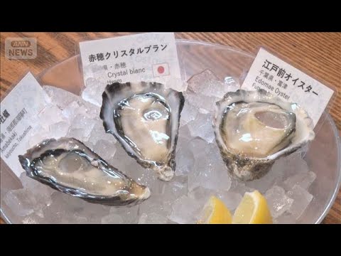 バスケット養殖カキに期待　環境変化に対応できる可能性　栄養が身に集中でおいしく【グッド！モーニング】(2026年2月1… サムネイル