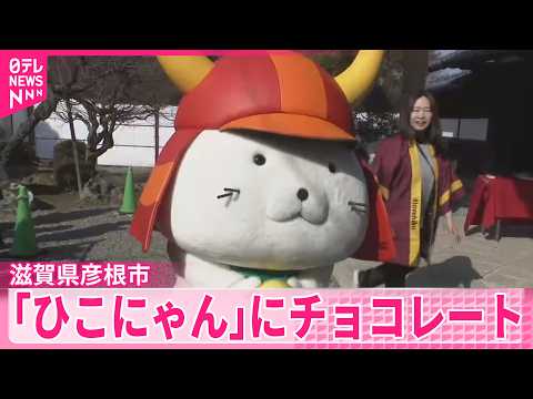 【バレンタインデー】ファンがチョコをプレゼント  ひこにゃんが食べきれない分は子ども食堂などへ　滋賀・彦根市 サムネイル
