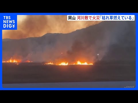 「枯れ草燃えている」河川敷で火災　高梁川にかかる新総社大橋の西岸付近で広範囲に燃え広がる　けが人なし　午後8時すぎに鎮… サムネイル