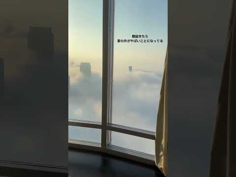 寝てたらスマホに注意アラートが鳴りビックリして起きたら外が天国になってた。 サムネイル