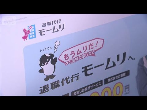 「逮捕されることはない」退職代行『モームリ』社長ら逮捕　創業当時から違法行為か【報道ステーション】(2026年2月3日) サムネイル