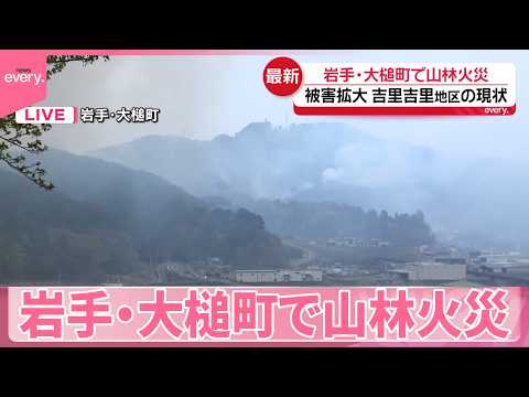 【中継】2か所のエリアで山林火災  吉里吉里地区の状況は  被害拡大続く  岩手･大槌町 サムネイル