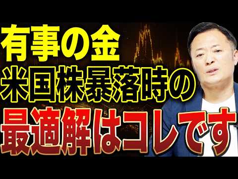 【米国株暴落時の投資対象】米国債・ゴールド・VIXの本当の使い方・ポートフォリオ戦略を徹底解説 サムネイル