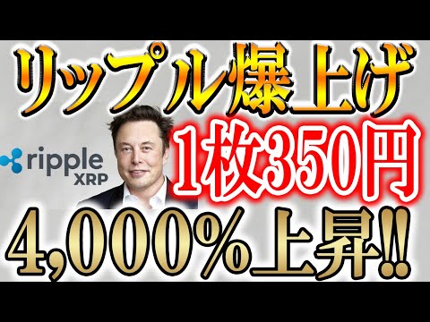【XRP ETF上場で急騰!!】今からいくらになるのか？徹底分析【リップル/ビットコイン】 サムネイル