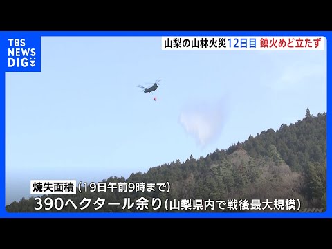 山梨・扇山の山林火災 大月市内で延焼続き鎮火のめど立たず　県内で“戦後最大”の被害見込み｜TBS NEWS DIG サムネイル