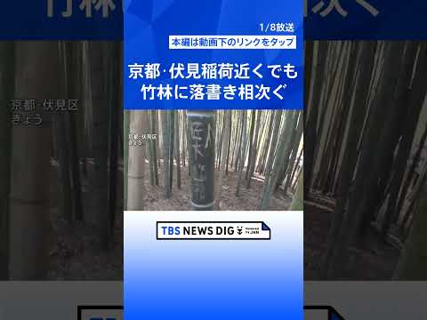 【「許せない」「悪質」】京都・伏見稲荷大社近くの竹林も落書き　去年の嵐山被害に続き…所有者も落胆の声｜TBS NEWS… サムネイル